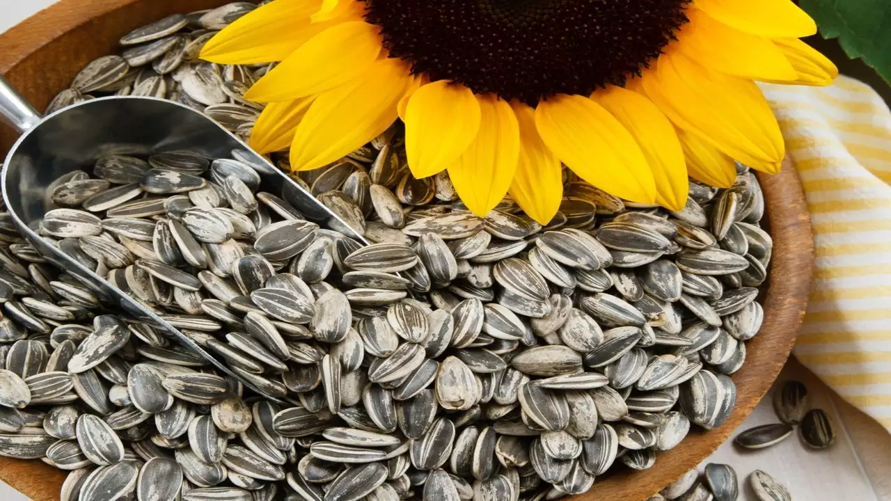 SUNFLOWER SEEDS